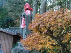 田舎の紅葉①