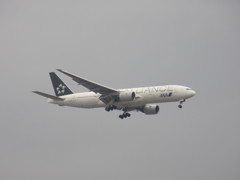 ANA  B777-200