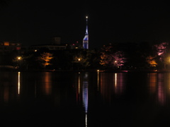 夜の大濠公園にて⑤