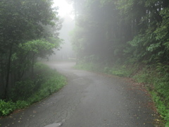 雨上がりの霧のかかった山道