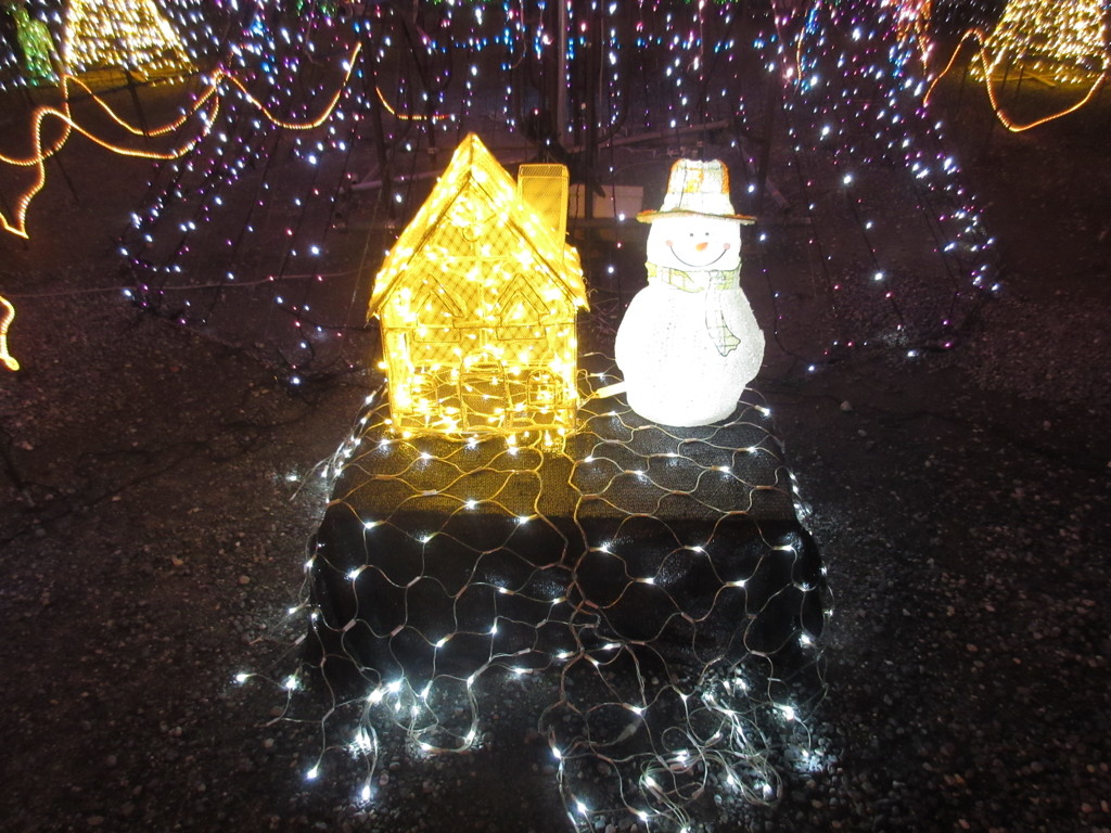 二日市でのクリスマスイルミネーション　③