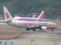 AIR CHINA　B737-800待機