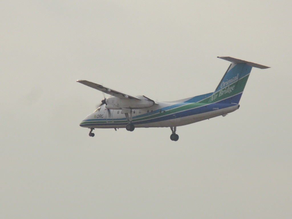 着陸オリエンタルブリッジ