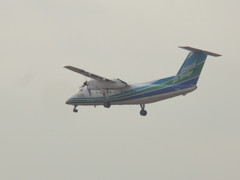 着陸オリエンタルブリッジ