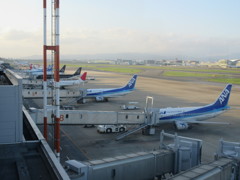 朝の福岡空港で
