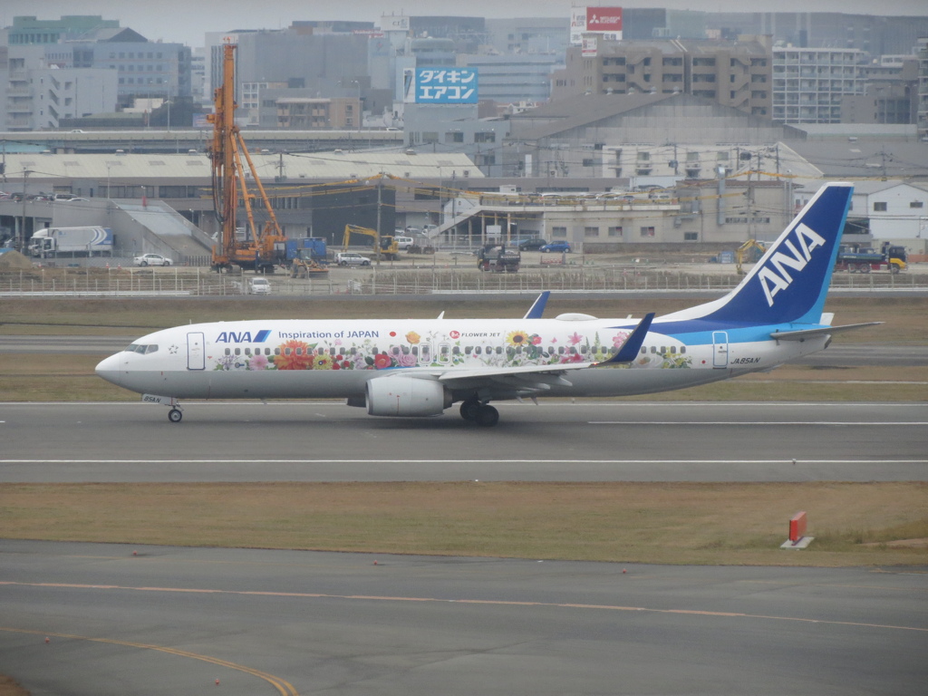 ANA  B737-800  JA85AN