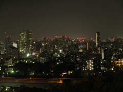 福岡市の夜景　愛宕神社より　②