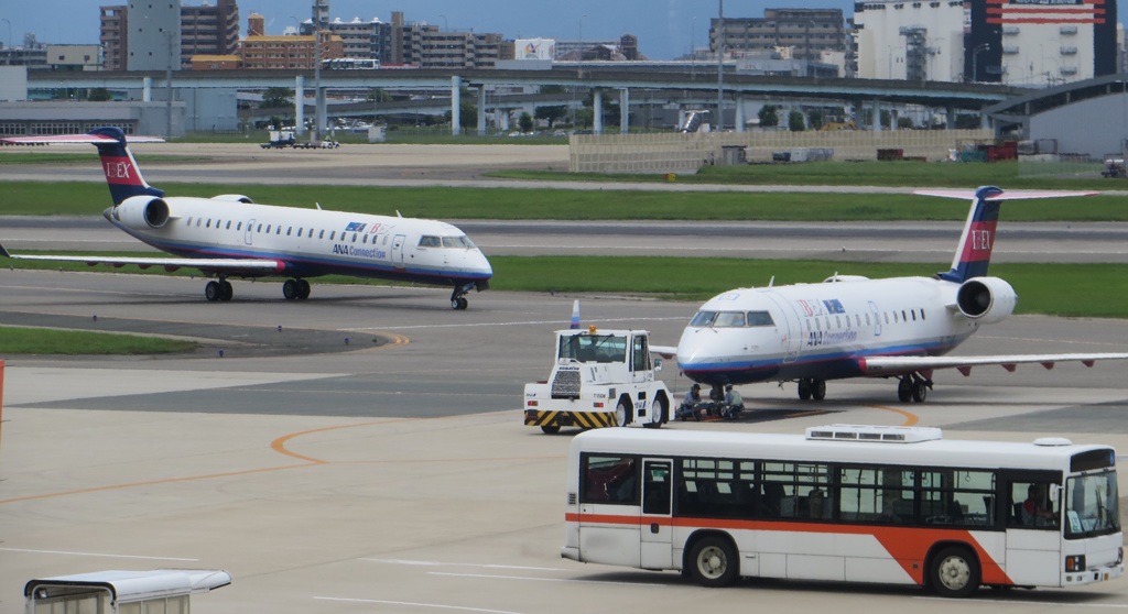 アイベックスの出発を待つアイベックス