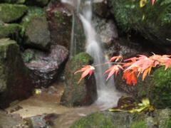 流れ落ちる水と紅葉