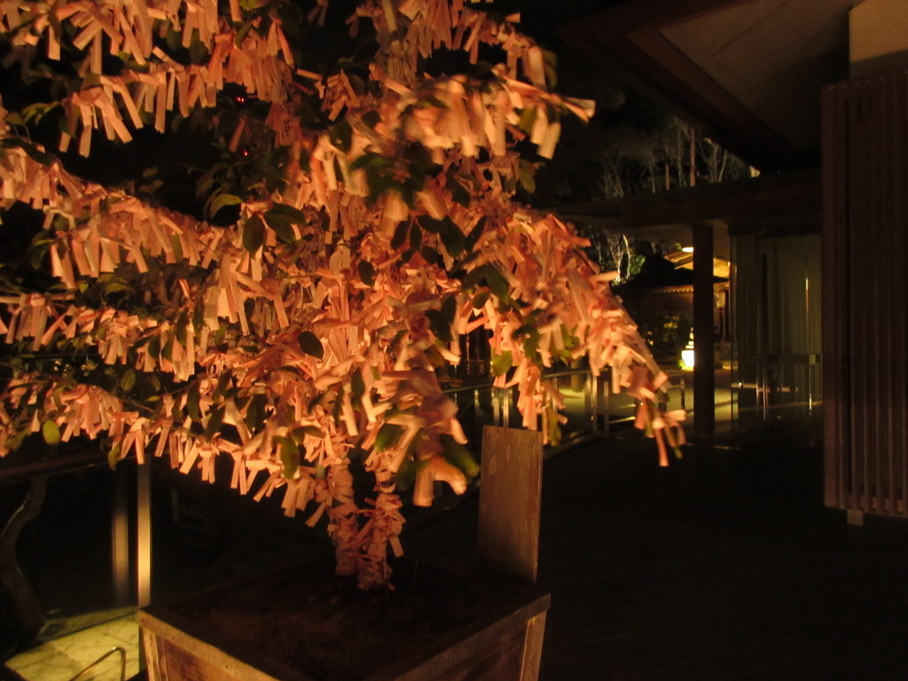 太宰府の神社の夜桜④