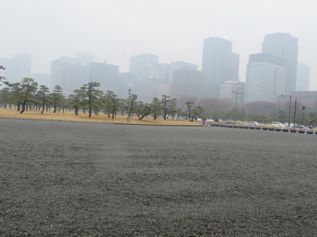 雨の日の皇居の光景
