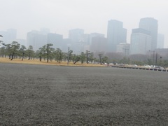 雨の日の皇居の光景