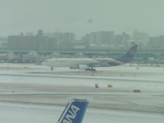 豪雪の福岡空港にて②