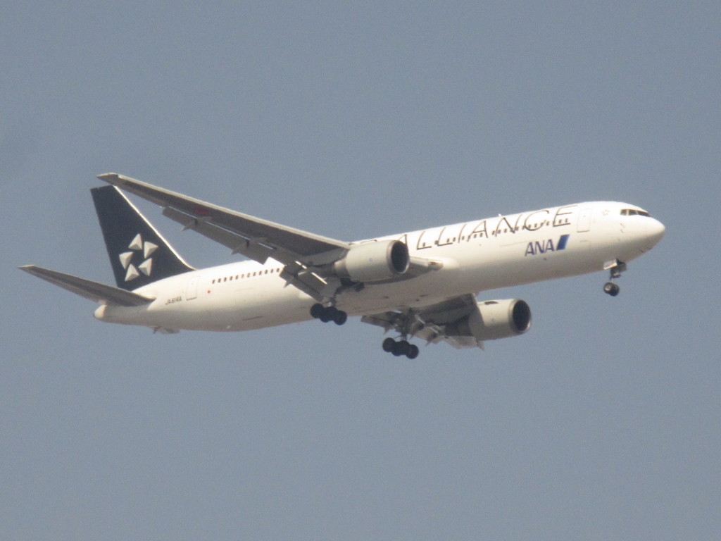 ANA  767-300  JA614A  STAR ALLIANCE