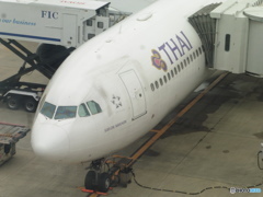 汚れが目立つタイ国際航空A330の先頭部分