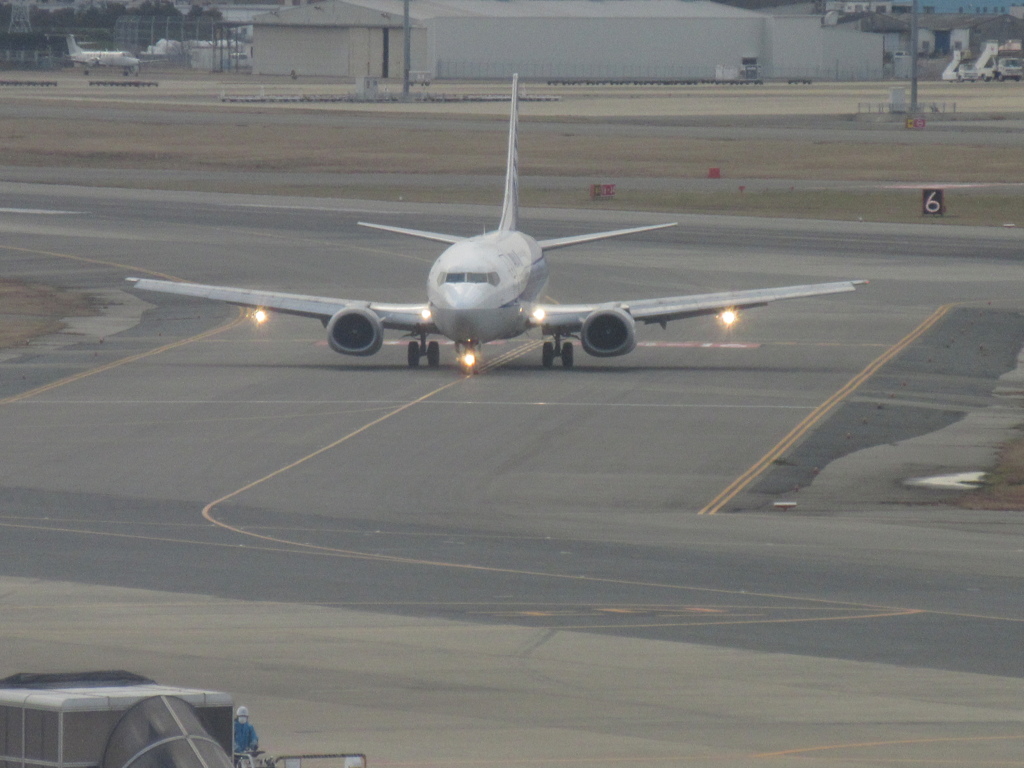 ５つのライトで着陸したドルフィン