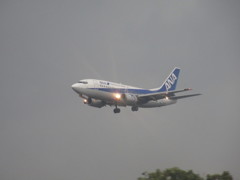 ANA　ドルフィンのアプローチ