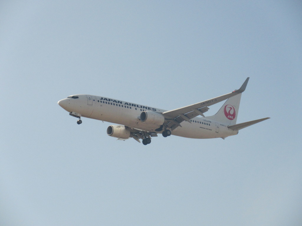 福岡へアプローチのJAL B737-800