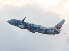 JAPAN TRANCE OCEAN  JA05RK離陸