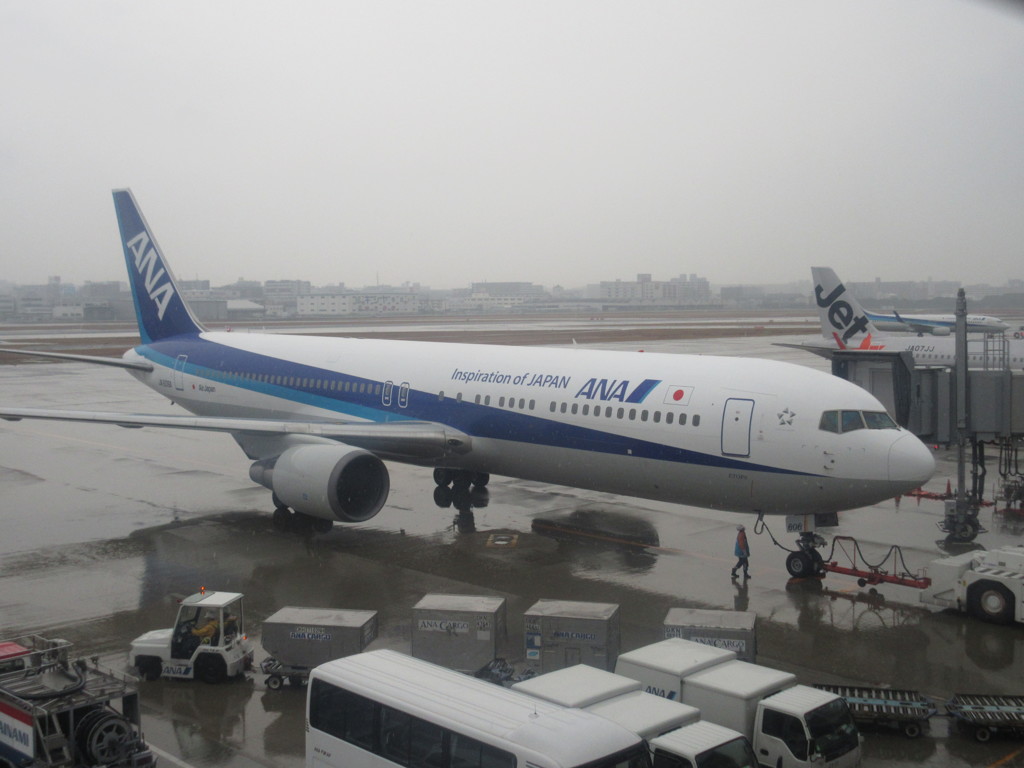 ANA  B767　元パンダジェット