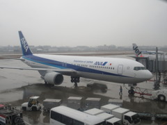 ANA  B767　元パンダジェット