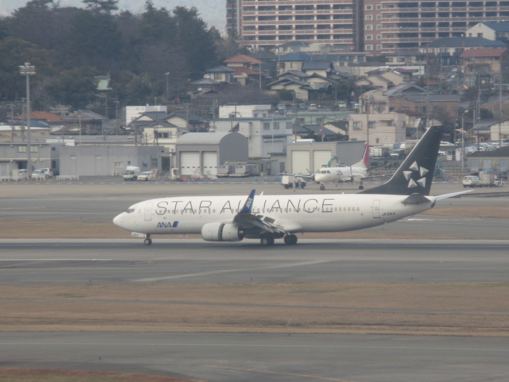 ANA　B737　スターアライアンス到着