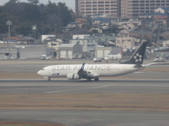 ANA　B737　スターアライアンス到着