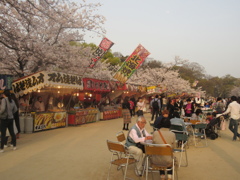 舞鶴公園の花見　⑤