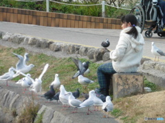 ユリカモメに餌を与える女の子