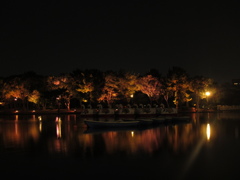 夜の大濠公園にて③
