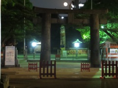 夜の箱崎宮にて①