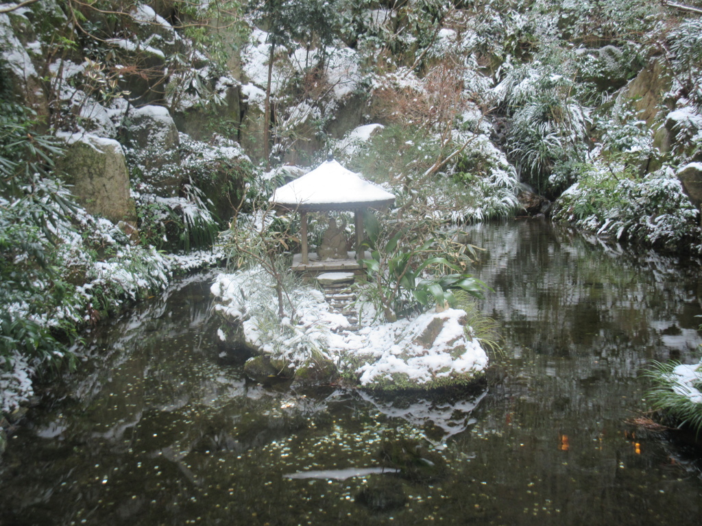 城戸南蔵院へ参拝　④