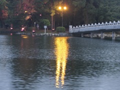 夕暮れの水面に映し出された外灯の光　②