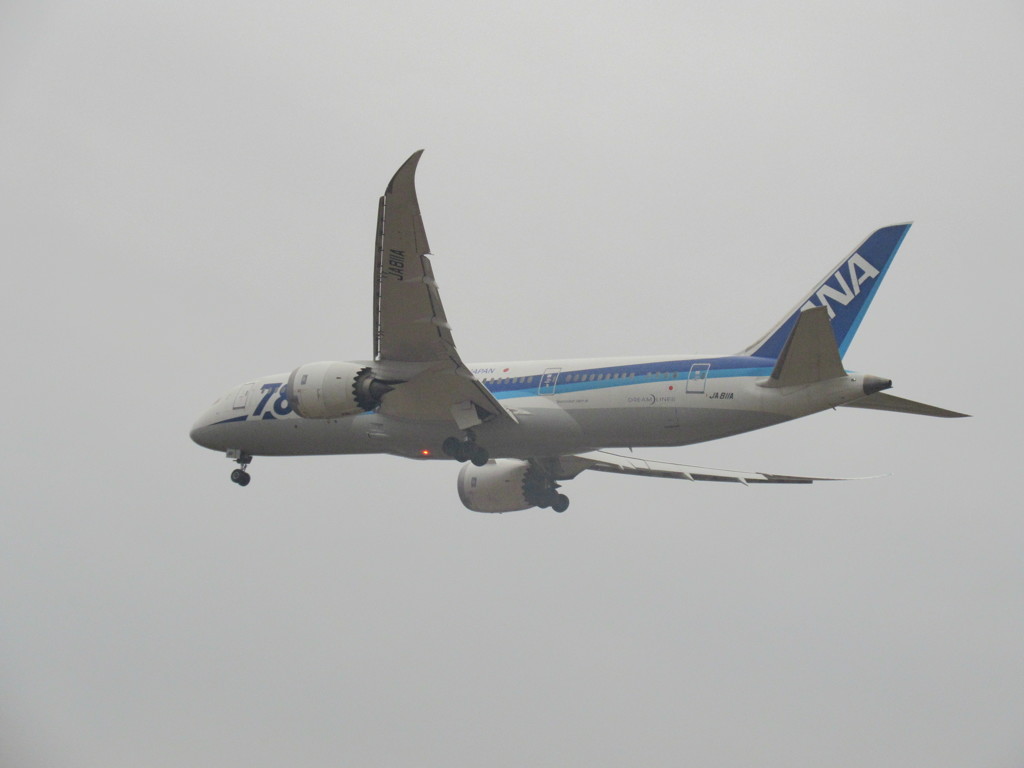 ANA　B787の着陸