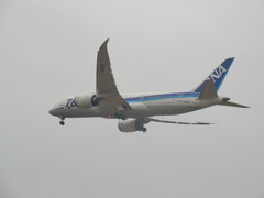 ANA　B787の着陸