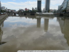 大雨の後の濁った川①