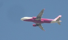 PEACH  JA815P