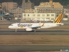 タイガーエア　A320の到着