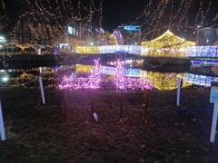 佐賀県鳥栖市中央公園のイルミネーション　⑭