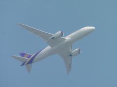 タイ国際航空　B787-8　HS-TQF離陸