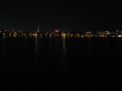 夜の大濠公園　①