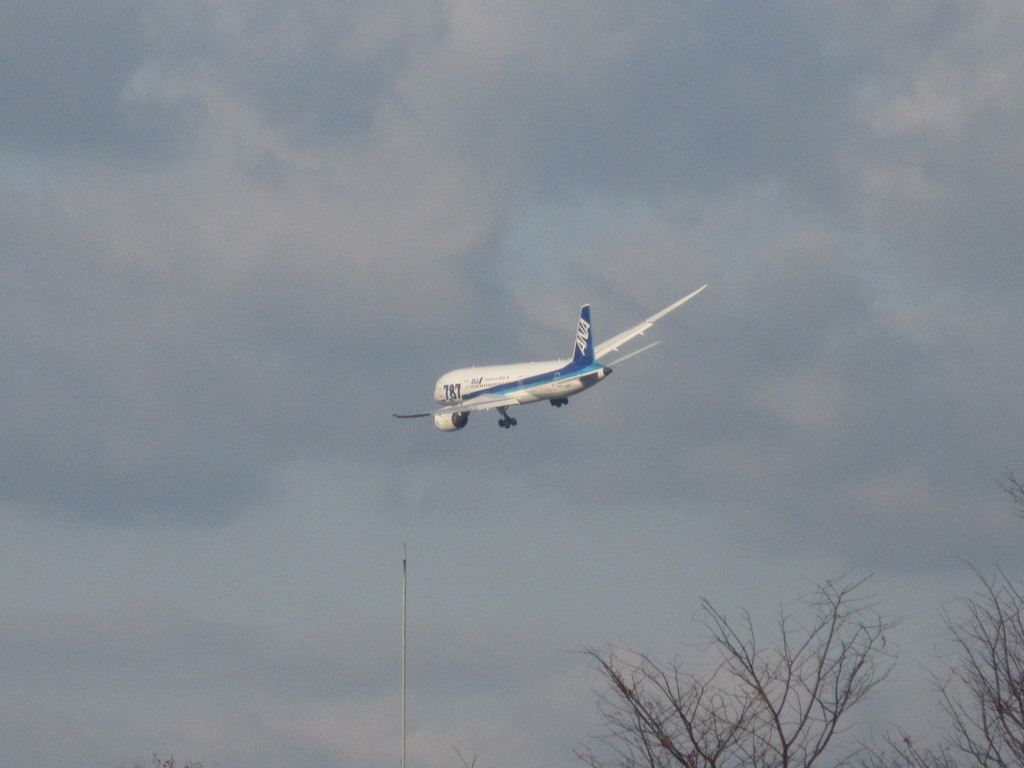 サークリングアプローチ⑧