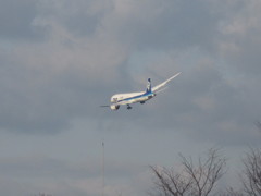 サークリングアプローチ⑧