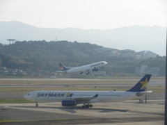 ２機のSKYMARKのA330