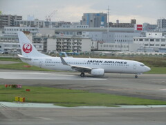 JAL  B737-800の到着