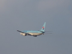大韓航空　B737　離陸