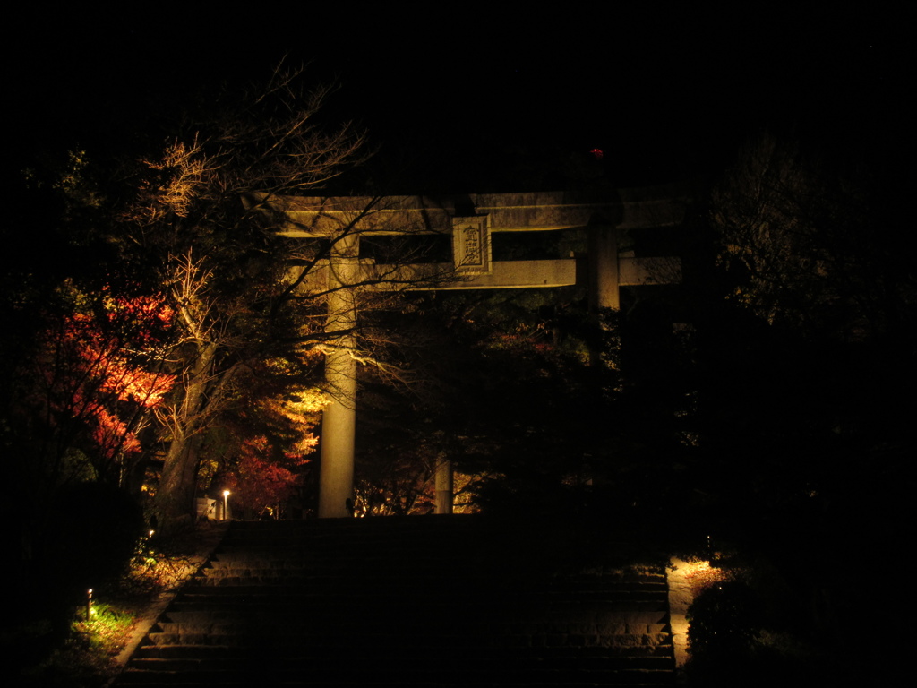 夜の紅葉ライトアップ①