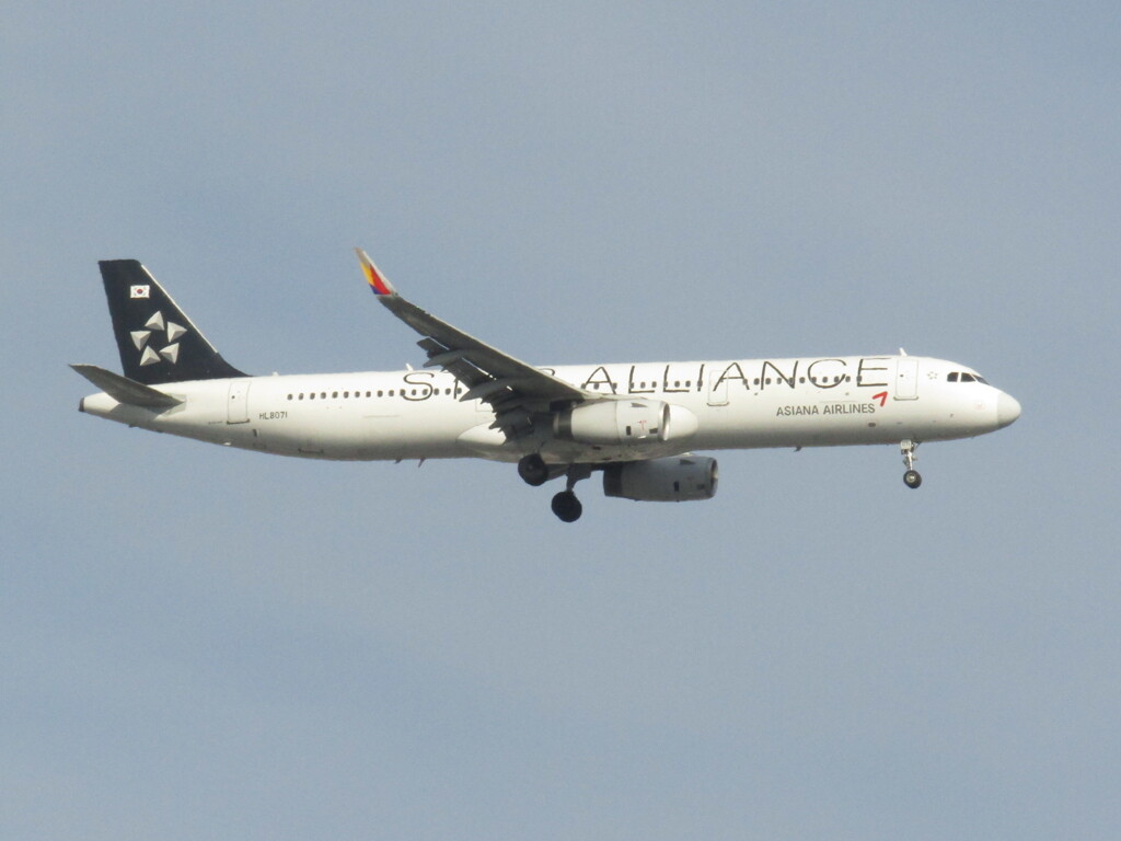 ASIANA  HL8071  福岡空港