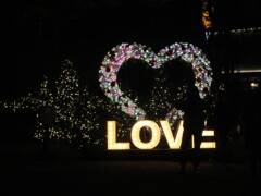 天神警固公園のイルミネーション　⑧