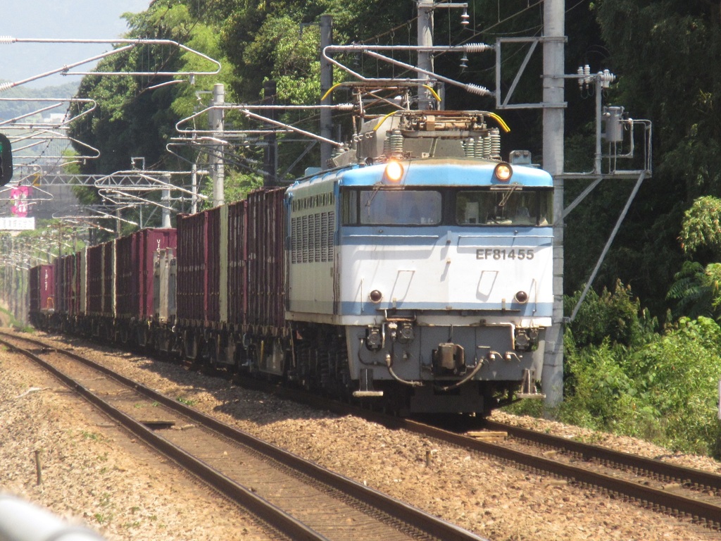EF81-455